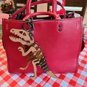 COACH Rainbow Rexy Hard to Find